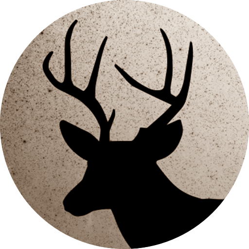 deeria.pl logo